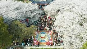 绝地求生