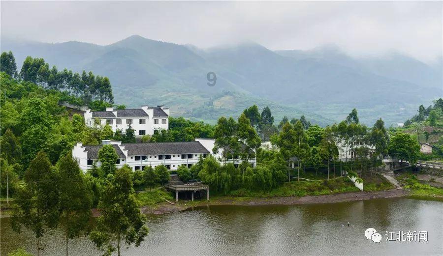 微博之夜开年就这么刺激？陈楚生实至名归，最后一位意料之外