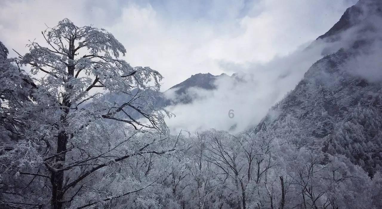 小微盘股开年首月遭重挫,“熬底”下市场风格如何演绎