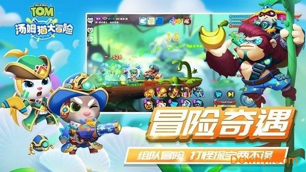 白莲花守则