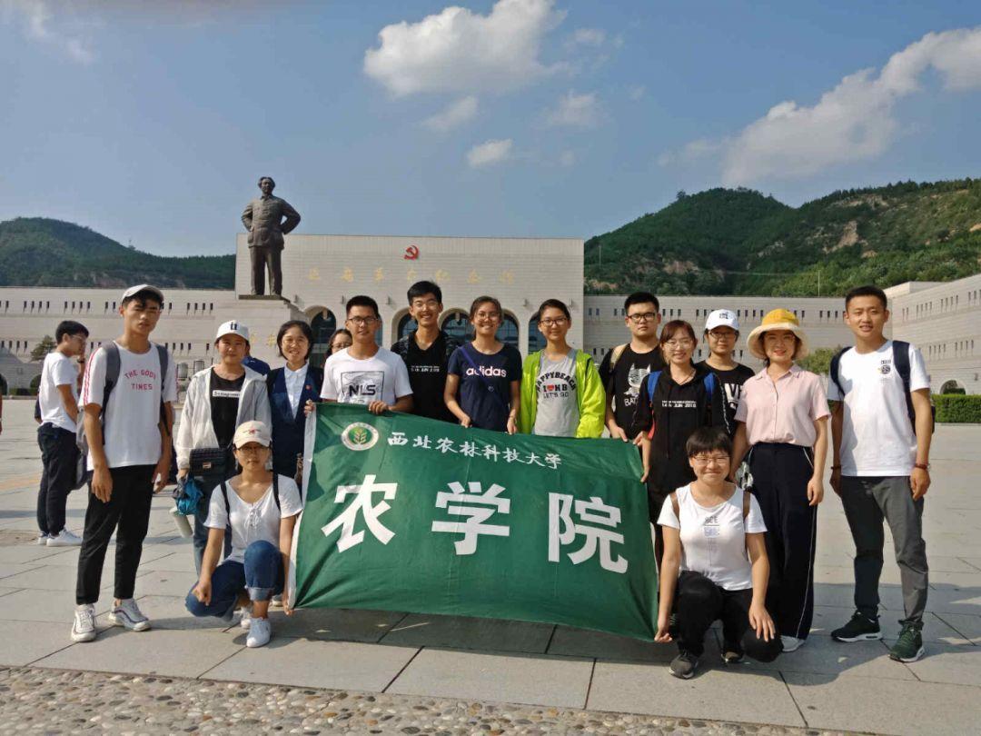 沙漠前行