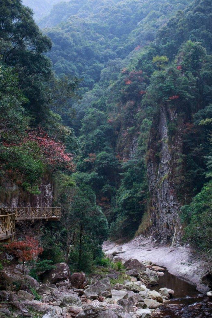 生化危机：启示录