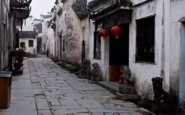 救援小白狼